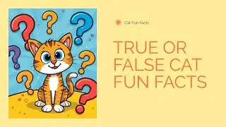 Cat Fun Facts Games TRUE OR FALSE | Games For Kids   #forkidsandchildren #songforkids