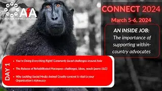 AfA CONNECT 2024 (day 1) - AN INSIDE JOB: The importance of supporting within-country advocates
