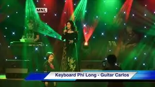 Sương lạnh chiều đ&ocirc;ng - Thanh Tuyền (keyboard Phi Long in Danmark 23.12 The VIP Party)