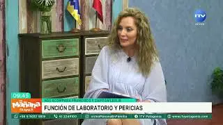 Labocar de Carabineros: &iquest;cu&aacute;l es su funci&oacute;n? | Una Ma&ntilde;ana en Familia