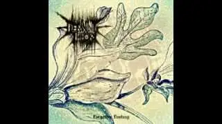 Decaying Theory - Forgotten Fantasy