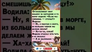 #шутки #шуточное #юмор #анекдоты #анекдот #смешновидео #смех #прикол #мемас