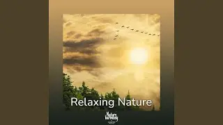 Calm interlude