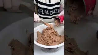 Challenge Invite fans to come and prepare meals for 50 cats and 3 dogs by themselves Cooki