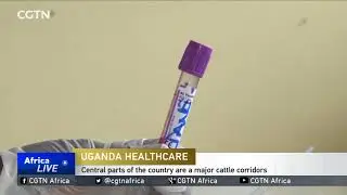 Uganda Healthcare doctors accuse government of hiding deadly virus outbreak