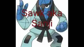 Ohiokyle's Pokemon Black Team