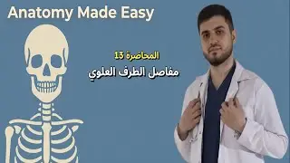 Upper Limb Joints | مفاصل الطرف العلوي بالتفصيل &ndash; Anatomy Made Easy