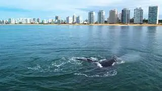 Uruguay: The Southern Gem