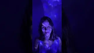Davy Jones's theme - Cover By Lara Freyre