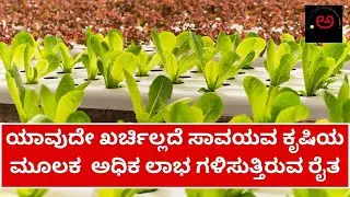 Organic Farming | ಸಾವಯವ ಕೃಷಿಯ ಮೂಲಕ  ಅಧಿಕ ಲಾಭ| earthworm unit |Karnataka | Farmer