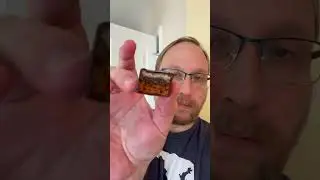 Dark Chocolate Gingerbread Bite (Taste Test) #germanfood #tasting #snacks #universalyums #foodreview