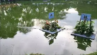 Ecological Floating Treatment Wetlands