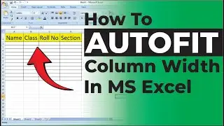 Excel Mein AutoFit Column & Row Kaise Karen | Excel Auto Adjust Shortcut Trick