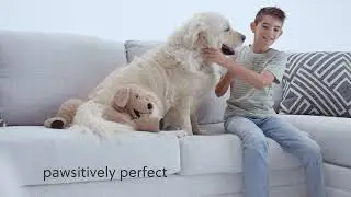 NextGen Nuvella 1 #ashleyfurniture #washable #washablecover #patrickfurniture