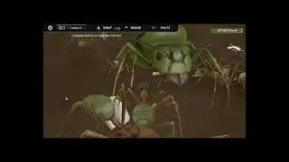 Ant Sim Tycoon Episode 8