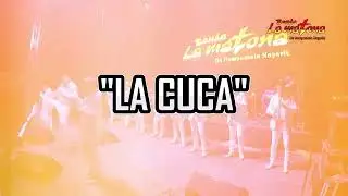 La Cuca - Banda La Matona De Compostela Nayarit