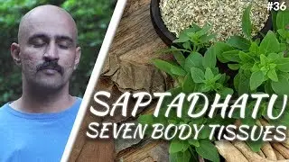 Exploring the Seven Body Tissues: Insights from Ayurveda