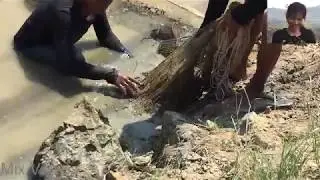Cambodia Traditional Net Fishing #1
