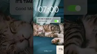 Good Morning GIF |Cute GIFs | #whatsappstatus #goodday #gm