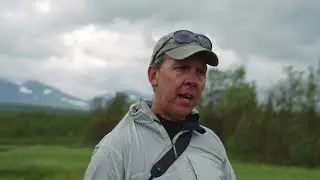 Melting Palsa mires in Abisko Nation Park