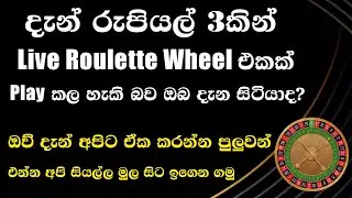 How To Play Roulette | Stake Roulette | Roulette Sinhala | Let's Identify The Roulette Wheel