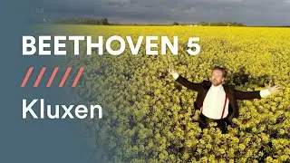 BEETHOVEN - Symphony No5 - I: Allegro con brio (excerpt)