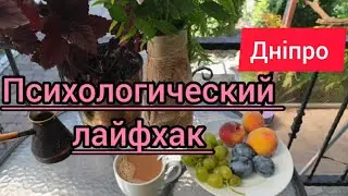 USEFUL GIFTS FOR YEARS OF SERVICE!! OUR ELECHKA!! Milk-peach dessert!!