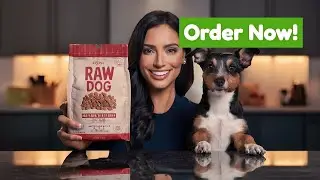 Chicago's Raw Dog Food Scene: A Bone-Afide Revolution