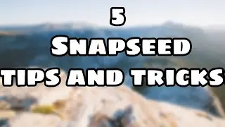 5 Snapseed Tips And Tricks