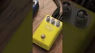 PEDAL T-REX TONEBUG FUZZ