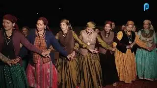 Pahari Vibes From Shimla | Himachali Nati Dance Song | Pahari Mehfil  | Pahari Culture  | Nati Song