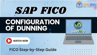 17. SAP FICO Dunning Configuration: Step-by-Step Guide with Detailed Explanation
