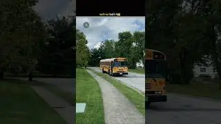 Why Is The Color Of Buses Yellow ?😱#Facts#Shorts#Bus