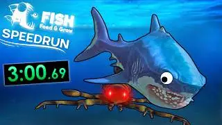 Feed and Grow Fish | defeat boss speedrun | 3:30