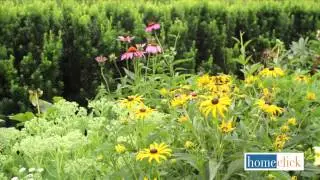 Late Summer Blooming Perennials | The Best Late Summer Perennials