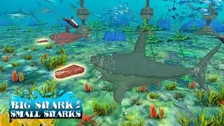 Big Shark Vs Small Sharks