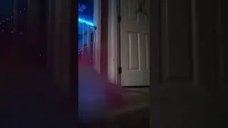 Glowingcat disappears