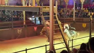 Trickreiten Pferde - Europa Park in Deutschland