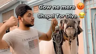 Cow Ne Mera Chapal Tor Diya 😂😡 | Hasnain&rsquo;s Family Vlogs ❤️