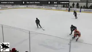 San Jose Jr. Sharks vs. Anaheim Jr. Ducks (2026.01.10)