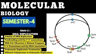 Lecture-8|DNA Pol-I|Klenow Fragment|Proofreading|Nick Translation|prokaryotic Replication Initiation