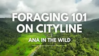 Foraging 101 on CityLine
