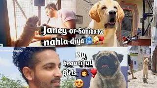 My cute girls bathing vlog😍Janey se milne aye bachhe😃🤪😱 #viralvlogs #viral