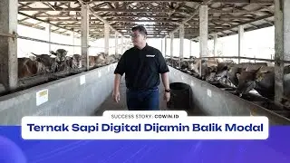 Success Story: Cowin.id | Peternak Sapi Digital dari Riau