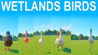 В рамках &laquo;Быстрых гонок&raquo; среди болотных птиц в зоопарке Planet Zoo приняли участие африканская че...