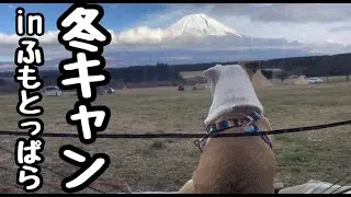 初の冬キャンプ！寒さに耐えられるかブルドッグ!?素敵な出会いも！