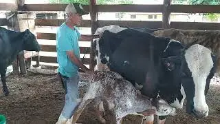 24 de outubro de 2024