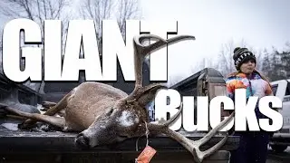 BIG BUCKS DOWN at The Marion Springs Buck Pole | Michigan Hunting