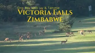 One Day at Elephant Hills Resort, Victoria Falls, Zimbabwe