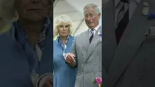 Princess Anne's Surprised Decision After King Charles and Camilla's Sh0cked Request to William!